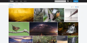 book cover design stock images