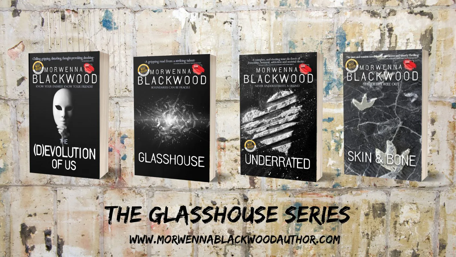 series book mockups